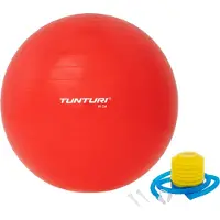 Tunturi 55 Cm Fitbal
