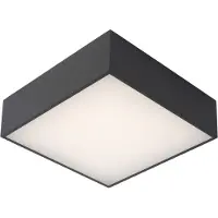 Lucide Roxane Plafonnière Badkamer - LED - 1x12W 2700K - IP54 - Antraciet