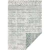 Hanse Home Dubbelzijdig Buitenkleed Biri - Groen/Crème 120 x 170 cm