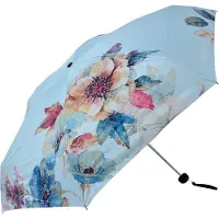 Juleeze Paraplu Volwassenen Ø 92 cm Blauw Polyester Bloemen Regenscherm