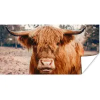 PosterMonkey Poster Koe- Schotse hooglander - Hoorns - Bruin - Landschap - 40x20 cm