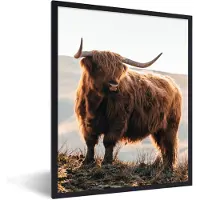 PosterMonkey Fotolijst - Schotse hooglander - Koe - Berg - Poster - Frame poster - 60x80 cm - Foto lijst - Poster in lijst - Poster Schotse hooglander - Muurdecoratie - Poster natuur