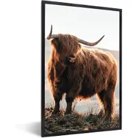PosterMonkey Fotolijst - Schotse hooglander - Koe - Berg - Poster - Frame poster - 40x60 cm - Foto lijst - Poster in lijst - Poster Schotse hooglander - Muurdecoratie - Poster natuur