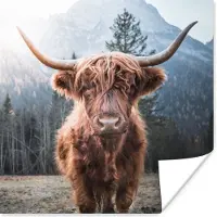 PosterMonkey Poster - Schotse hooglander - Koe - Dieren - Natuur - Industrieel - Fotoposter - Muurposter - Woonkamer decoratie - Muurposters slaapkamer - Dierenposter - 30x30 cm - Muurdecoratie
