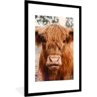 PosterMonkey - Fotolijst - Schotse hooglander - Dieren - Koe - Poster - Poster met kader - Foto in lijst - 80x120 cm - Poster dieren - Poster Schotse hooglander - Wanddecoratie - Posterlijst