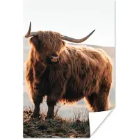 PosterMonkey Poster Schotse hooglander - Dieren - Landelijk - Landschap - Koe - Natuur - 20x30 cm