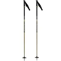 Rossignol Freeride Pro Safety Stokken