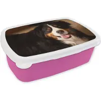 MuchoWow Broodtrommel Roze - Lunchbox - Brooddoos - Berner Sennenhond kijkt in de camera - 18x12x6 cm - Kinderen - Meisje