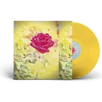 Import TRIP (SUN YELLOW)