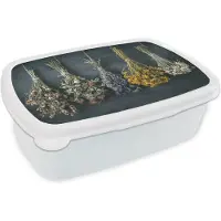 MuchoWow Broodtrommel Wit - Lunchbox - Brooddoos - Droogbloemen - Bloemen - Boeket - Stilleven - Touw - Bundel - 18x12x6 cm - Volwassenen