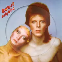 David Bowie - RSD - Pinups (LP)