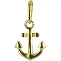New Bling 9NBSAM-G190112 Gouden Hangertje - Dames - Anker - 11 x 8 mm - 14 Karaat - Bedel - Goud