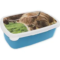 MuchoWow Broodtrommel Blauw - Lunchbox - Brooddoos - Schotse hooglander - Dieren - Gras - 18x12x6 cm - Kinderen - Jongen