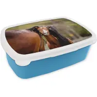 MuchoWow Broodtrommel Blauw - Lunchbox - Brooddoos - Paarden - Natuur - Bruin - 18x12x6 cm - Kinderen - Jongen