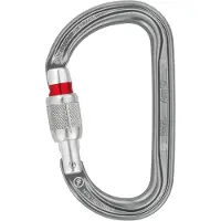 Rock Empire Am’D D Carabiner Gray Screw Lock