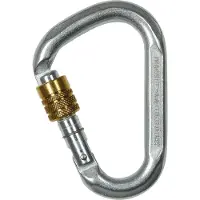Ct Snappy Steel SG karabiner, grijs 2022 Karabijnhaken