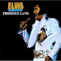 MUSIC ON VINYL Promised Land