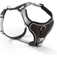 Fressnapf hondentuig gepolsterd Professional Comfort, maat 0: 30-35cm x 15mm zilver/zwart