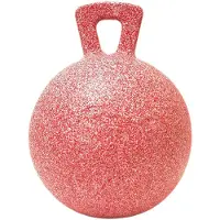 Jolly Pets Jolly Ball Rood"Wit Mintgeur 25 Cm