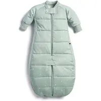 ErgoPouch Slaapzak Baby Sleepsuit Winter - 2-4 Jaar - Tog 3.5 - Sage