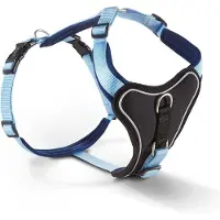 Wolters hondentuig gepolsterd Professional Comfort, maat 1: 35-40cm x 25mm blauw/hemelsblauw