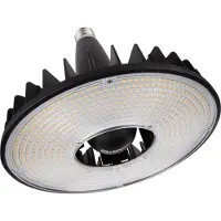 Ledvance 4058075780408 LED-lamp Energielabel D (A - G) E40 150 W 1 stuk(s)