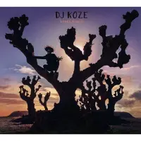 Cd Dj Koze - Knock