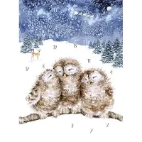 Wrendale Designs Adventskalender Kaart A4 Wrendale - Three Wise Men Owl Advent Calendar