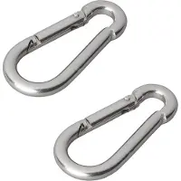 Pricenet Karabijnhaak rvs 2st.