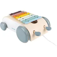 Janod Sweet Cocoon Xylo Roller Veelkleurig 18 Months-99 Years