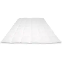 Cassenz REMBRANDT | donzen dekbed | 100% ganzendons | Zomer | warmteklasse 4 - 155/220cm - 230gr.