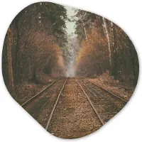 MuchoWow Organische wanddecoratie 40x40 cm - Organisch schilderij Treinspoor - Pad - Bos - Boom - Muurdecoratie woonkamer - Kamer decoratie - Schilderijen - Muurcirkel aesthetic