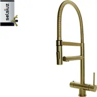 Selsiuz Inox XL kokend water kraan met combi extra boiler gold