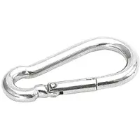 Talamex Rvs Classic Carabiner Hook 10 Units Zilver 50 mm