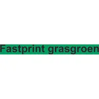 Quantore Kopieerpapier Fastprint-100 A4 120Gr Grasgroen