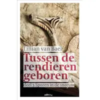 Palmslag Sporen in de sneeuw (Paperback)