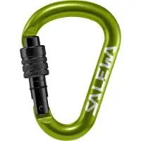 Salewa HMS Screw G2 Karabijnhaak Medium, groen 2023 Karabijnhaken