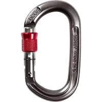 Ocun Osprey screw - Karabiner Anthracite Unieke maat