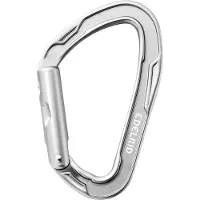 Edelrid Mission Straight karabiner (Maat One Size, Zilver)