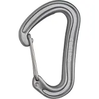 Edelrid Nineteen G II Karabijnhaak, grijs 2023 Karabijnhaken