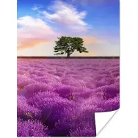 PosterMonkey Poster Lavendel - Boom - Zonsondergang - Paars - 30x40 cm