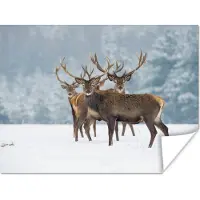 PosterMonkey Poster Hert - Dieren - Sneeuw - Winter - Landschap - Natuur - 40x30 cm