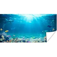 PosterMonkey Poster Onderwaterwereld - Zeedieren - Water - Zee - Koraal - Blauw - 160x80 cm