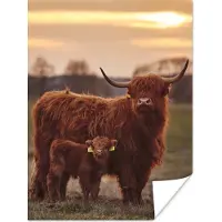 PosterMonkey Poster Schotse hooglander - Dieren - Landschap - Zonsondergang - Koe - 120x160 cm XXL