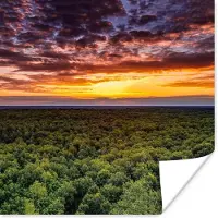 PosterMonkey Poster Bos - Nacht - Lucht - Horizon - Bomen - 100x100 cm XXL
