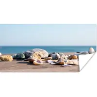 PosterMonkey Poster Schelpen - Strand - Zee - Zomer - Zon - 80x40 cm