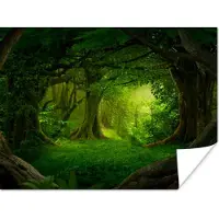 PosterMonkey Poster Bomen - Bos - Groen - Landschap - Natuur - 40x30 cm