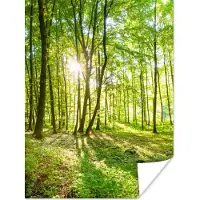 PosterMonkey Poster Natuur - Bomen - Bos - Groen - Zonlicht - 60x80 cm