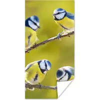 PosterMonkey Poster Vogel - Pimpelmees - Takken - Zon - 40x80 cm