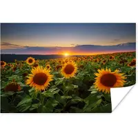 PosterMonkey Poster Bloemen - Nacht - Zonsondergang - Zonnebloem - Horizon - 60x40 cm